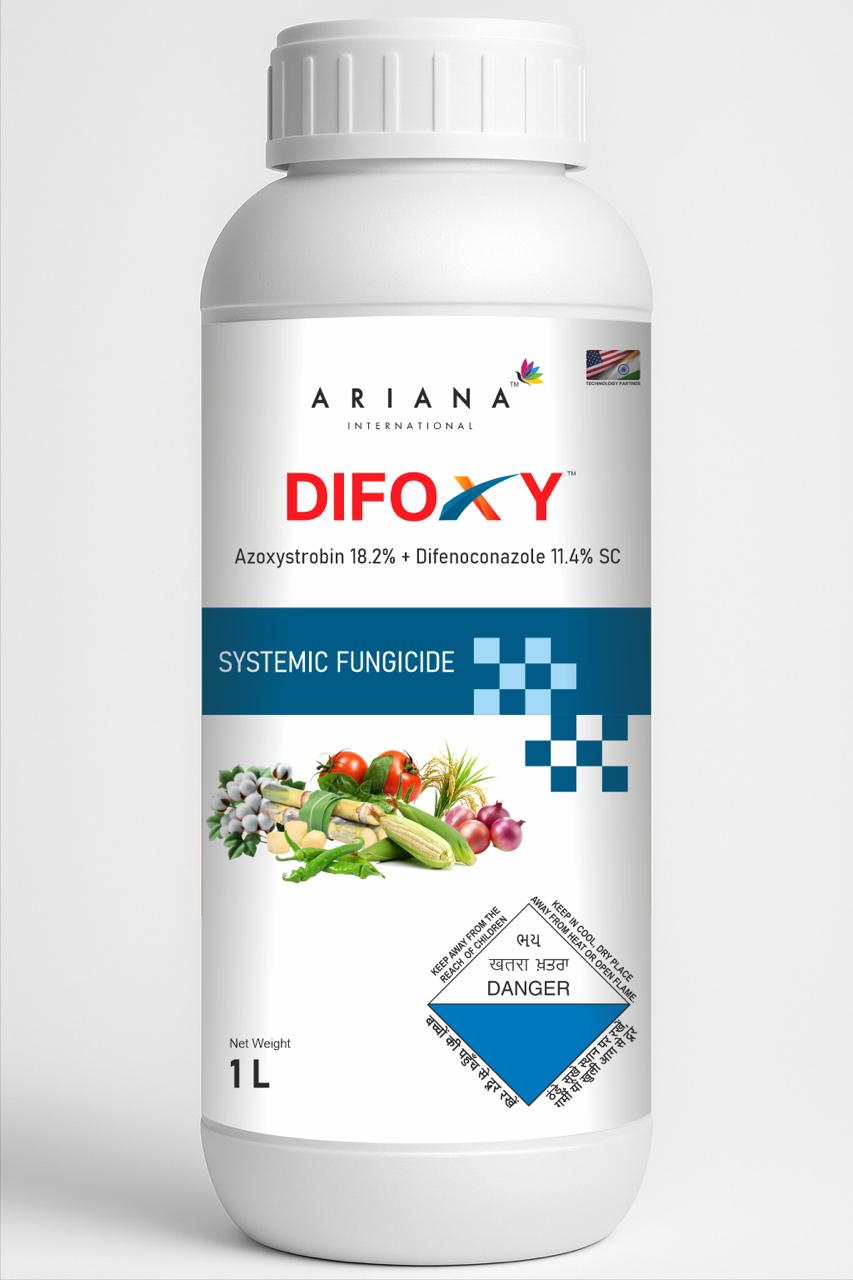 WhatsApp Image 2025-08-24 at 3.39.31 PM