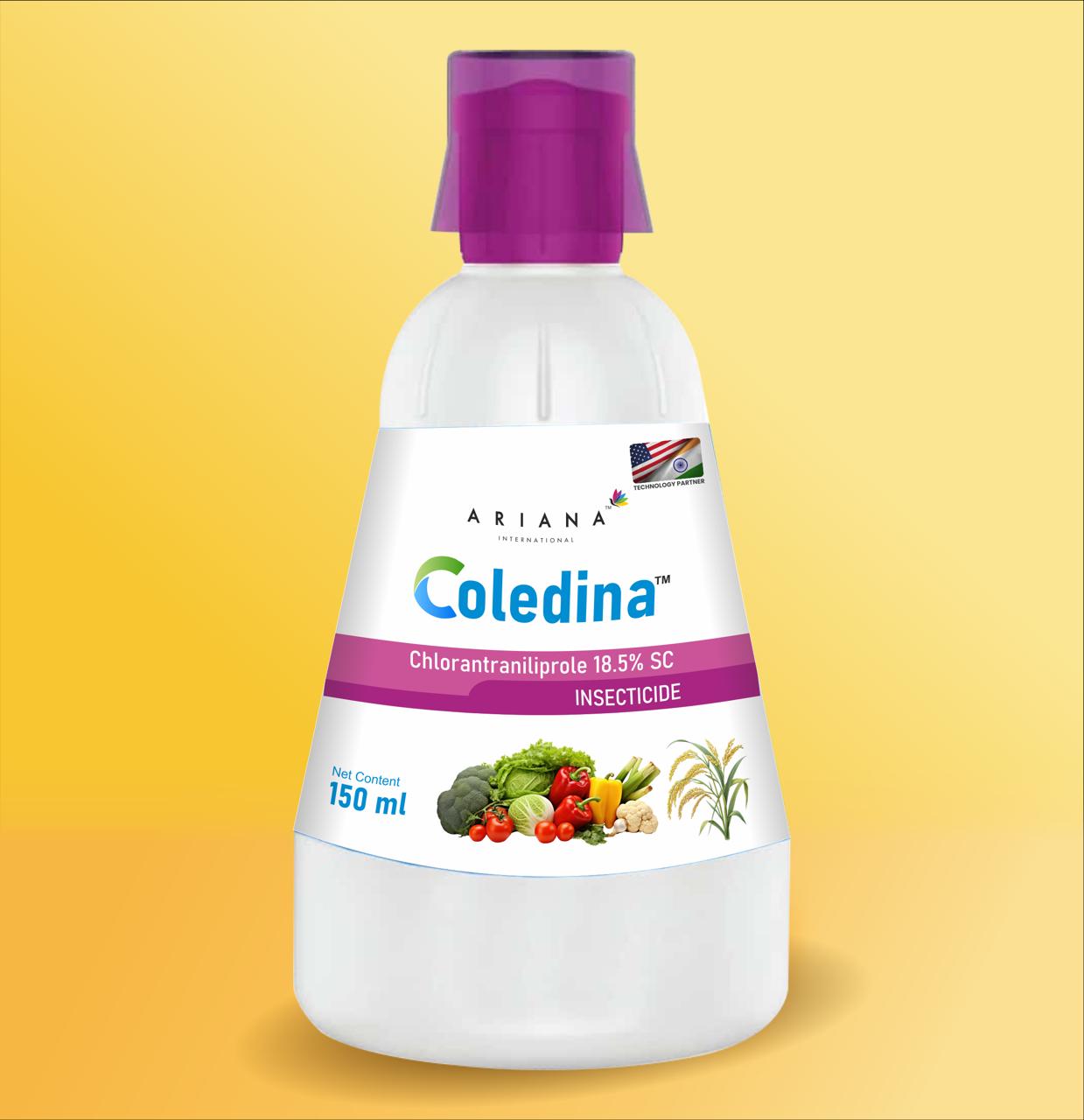 WhatsApp Image 2025-08-24 at 3.39.32 PM (1)