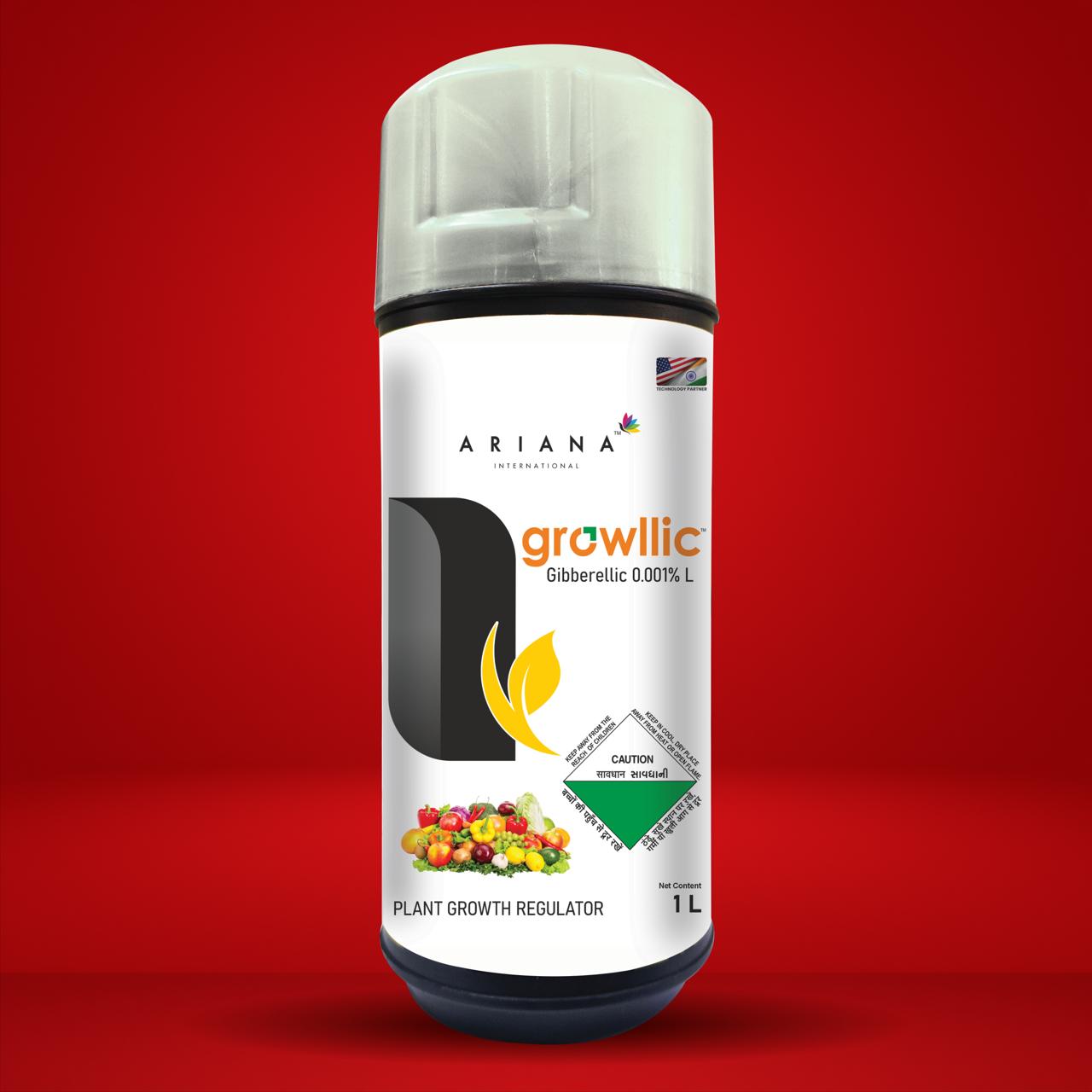 WhatsApp Image 2025-08-24 at 3.39.33 PM (1)