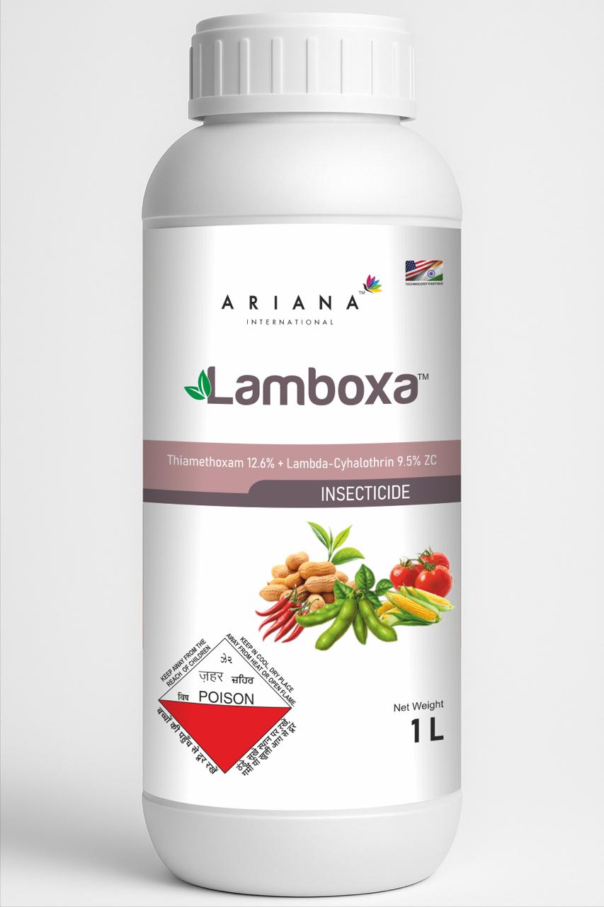 WhatsApp Image 2025-08-24 at 3.39.34 PM (2)